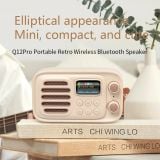  Loa Bluetooth NowGo Q12 Pro (Bluetooth v5.3, tích hợp đài Radio FM  TF Card) 