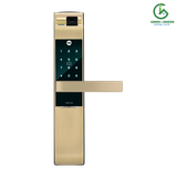  Khoá Cửa Vân Tay Yale 