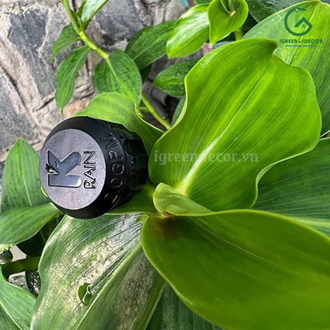  Béc tràn Bubbler bù áp tưới gốc 2.0GPM KRain-Mỹ 