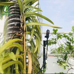 Béc tưới gốc bù áp AQ206PC 28 lít - Ấn Độ