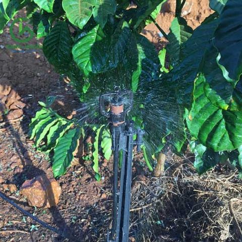  Béc tưới gốc bù áp AQ206PC 28 lít - Ấn Độ 