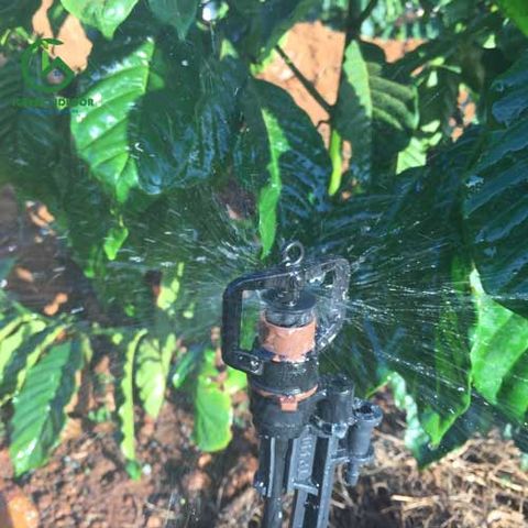  Béc tưới gốc bù áp AQ206PC 28 lít - Ấn Độ 