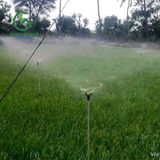  Béc bướm phun tỏa tròn VAN0334 Percent - Việt An Nông 