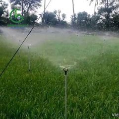 Béc bướm phun tỏa tròn VAN0334 Percent - Việt An Nông