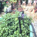  Béc tưới gốc bẻ gờ chỉnh bán kính 34 lít - AQ206HT tím 