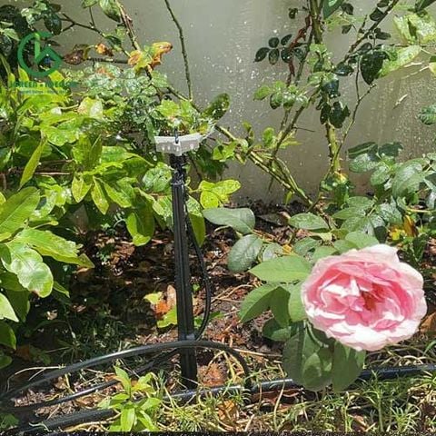  Béc tưới gốc bù áp AQ206PC 95 lít - Ấn Độ 