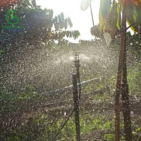  Béc tưới gốc bù áp AQ206PC 95 lít - Ấn Độ 