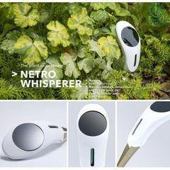 productNext