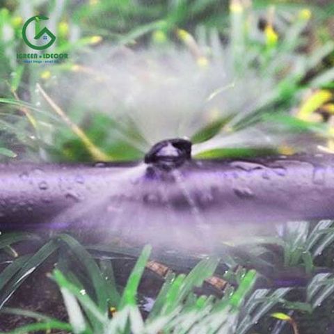  Béc tưới phun sương kiểu bọ Úc 