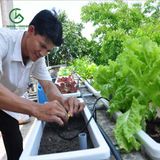  Béc nhỏ giọt tự điều chỉnh lưu lượng Việt Nam 