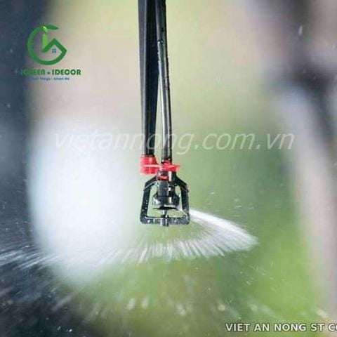  Béc phun mưa hạt nhẹ treo ngược VANWP001 