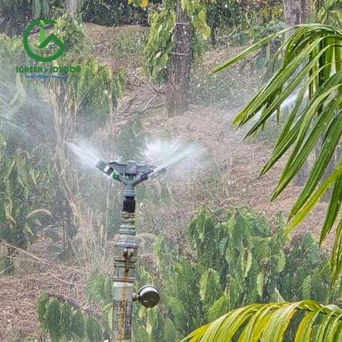  Béc tưới cánh đập cao cấp có ốc xe nước AQ30PM ren trong 34mm – Ấn Độ 