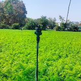  Béc tưới cây rẻ quạt 4 tia 21mm 400 lít không điểm mù AQ230 (Robin) – Ấn Độ 