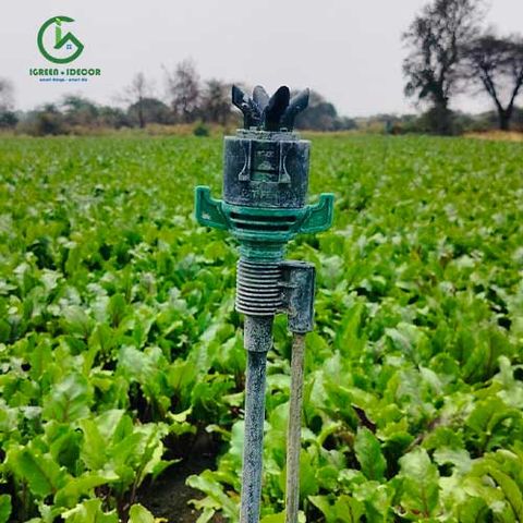  Béc tưới cây rẻ quạt 4 tia 21mm 400 lít không điểm mù AQ230 (Robin) – Ấn Độ 