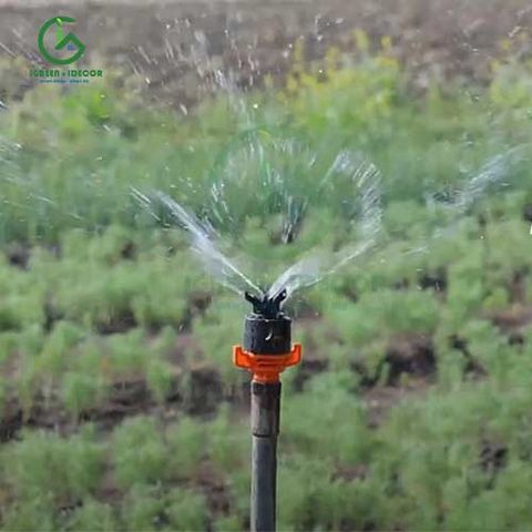  Béc tưới cây rẻ quạt 4 tia 21mm 600 lít không điểm mù AQ230 (Robin) – Ấn Độ 
