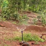  Béc tưới cây rẻ quạt 4 tia 27mm 950 lít không điểm mù AQ230 (Robin) – Ấn Độ 