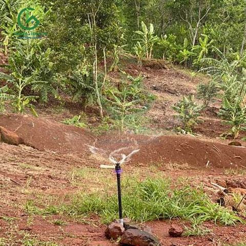  Béc tưới cây rẻ quạt 4 tia 27mm 950 lít không điểm mù AQ230 (Robin) – Ấn Độ 