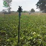  Béc tưới cây rẻ quạt 4 tia 27mm 800 lít không điểm mù AQ230 (Robin) – Ấn Độ 