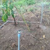  Béc tưới gốc bù áp AQ206PCI 95 lít ren ngoài 16mm – Ấn Độ 