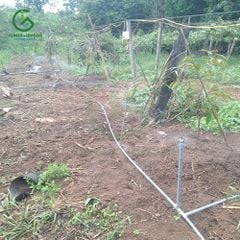 Béc tưới gốc bù áp AQ206PCI 95 lít ren ngoài 16mm – Ấn Độ