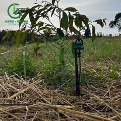 Béc tưới gốc bù áp IGR2000PC 150 lít – IGreen