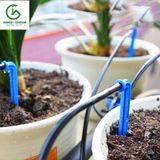  Bộ bốn que cắm nhỏ giọt mũi tên - Knet 4 - Percent 