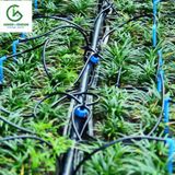  Bộ bốn que cắm nhỏ giọt mũi tên - Knet 4 - Percent 