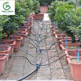  Bộ bốn que cắm nhỏ giọt mũi tên - Knet 4 - Percent 