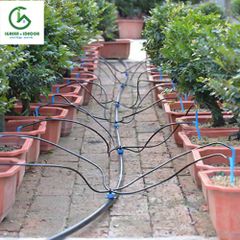 Bộ bốn que cắm nhỏ giọt mũi tên - Knet 4 - Percent