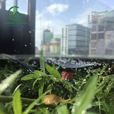  Bộ tưới sân vườn sân thượng ban công tự động Raindrip – Mỹ 