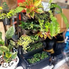 Bộ tường xanh di động dễ dàng trồng cây Holman – Úc