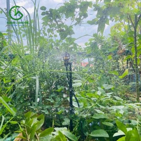  Cây cắm đỡ béc cao 50cm chỉ cho béc AQ206PC - Ấn Độ 