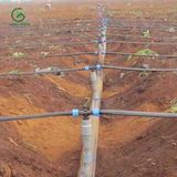  Chữ Tê ren 21 gắn dây nhỏ giọt dẹp 16mm 