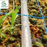 Dây nhỏ giọt dẹp 16mm - 4