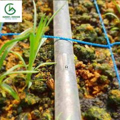 Dây nhỏ giọt 16mm - Q160430 - Hàn Quốc
