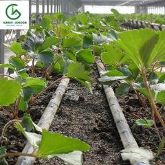 Dây nhỏ giọt dẹp 16mm - Q160220 - Hàn Quốc