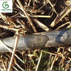Dây nhỏ giọt 16mm - Q160420 - Hàn Quốc