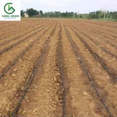 Dây nhỏ giọt dẹp 16mm - Q160220 - Hàn Quốc