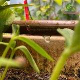  Ống tưới nhỏ giọt cho sân vườn KRain – Mỹ phi 16mm 