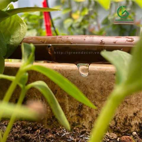  Ống tưới nhỏ giọt cho sân vườn KRain – Mỹ phi 16mm 