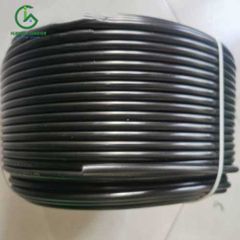 productPrev