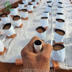 Dây dẻo LDPE trắng 20mm cảnh quan cao cấp Hàn Quốc
