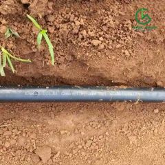 Ống LDPE IGreen phi 20mm dày 1.4mm  , 1.2mm nhập khẩu cao cấp