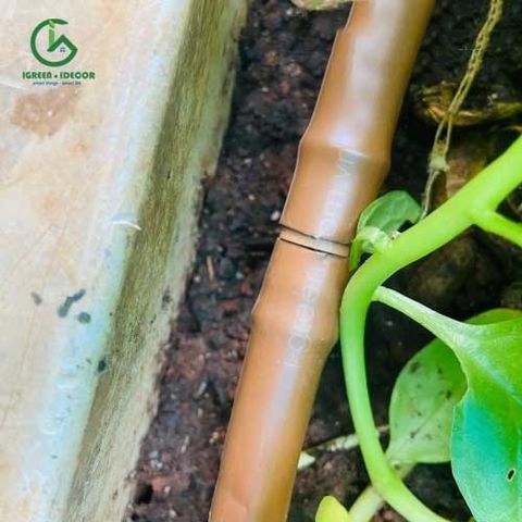  Nối thẳng 17mm ống nhỏ giọt KRain - Mỹ 