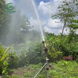  Súng tưới cà phê NS40 ren 60mm bán kính 53m 