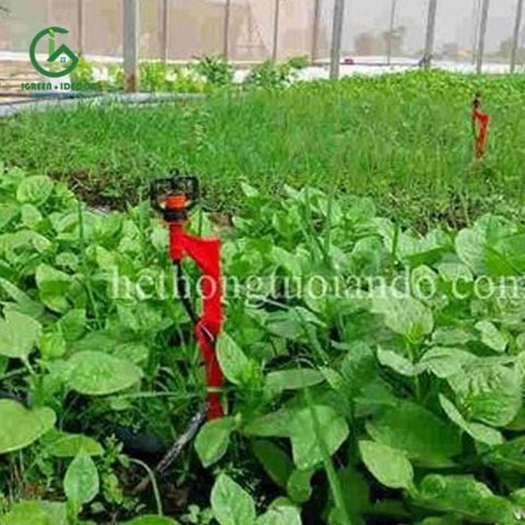  Béc tưới gốc mini có chân cắm - AQ206 - Ấn Độ 