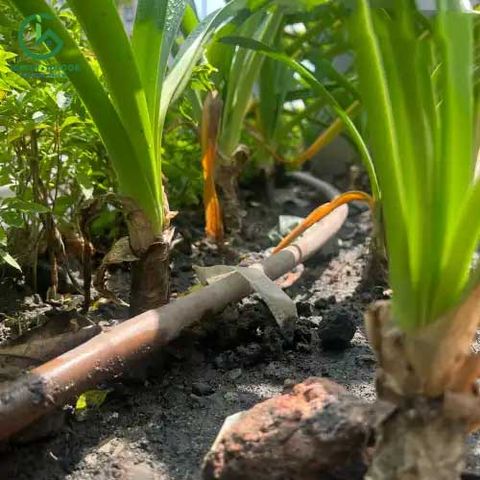  Ống tưới nhỏ giọt sân vườn KRain Mỹ phi 17mm hàng cao cấp 