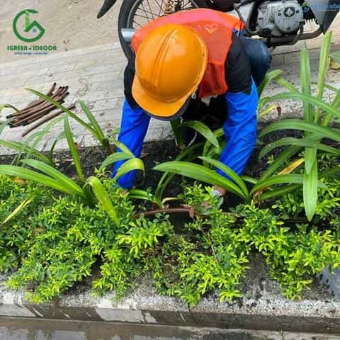  Ống tưới nhỏ giọt sân vườn KRain Mỹ phi 17mm hàng cao cấp 