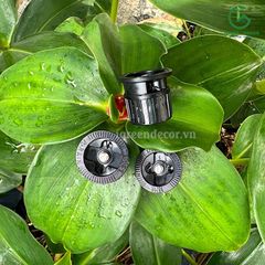 Miệng phun FN Series phun dải trung tâm 15CS Fix 360 độ KRain-Mỹ