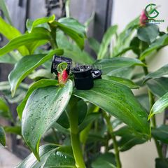 Miệng phun FN Series phun dải trung tâm 15CS Fix 360 độ KRain-Mỹ